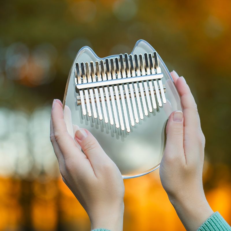 Acryl Kalimba